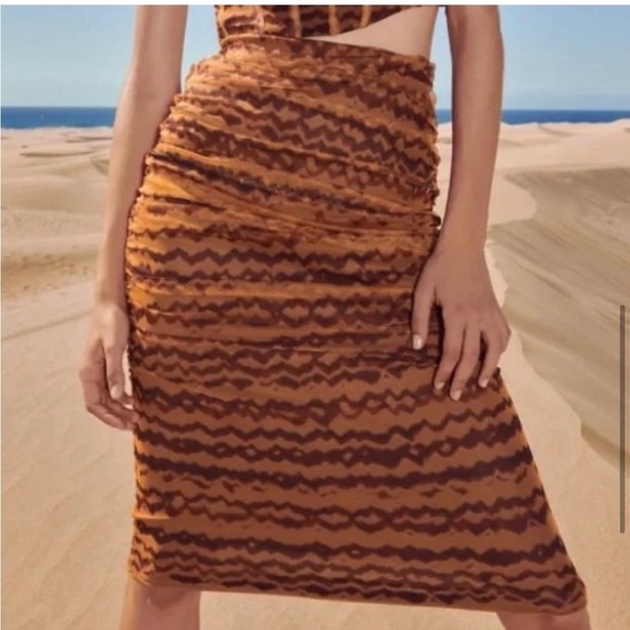 NEW Zara ruched tulle skirt - Picture 3 of 9